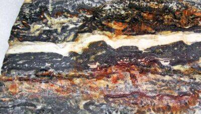 Науковці виявили найстаріше свідчення життя на Землі (Фото)