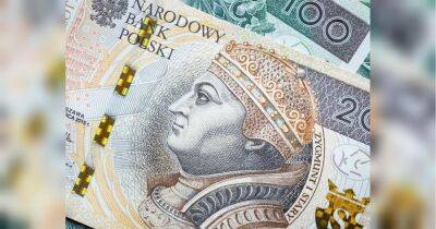Українкам у Польщі пропонують по 20 тисяч злотих: як отримати гроші