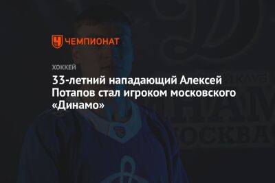 33-летний нападающий Алексей Потапов стал игроком московского «Динамо»