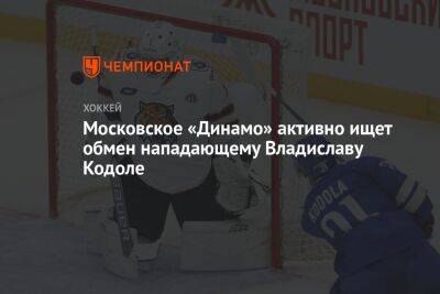 Московское «Динамо» активно ищет обмен нападающему Владиславу Кодоле