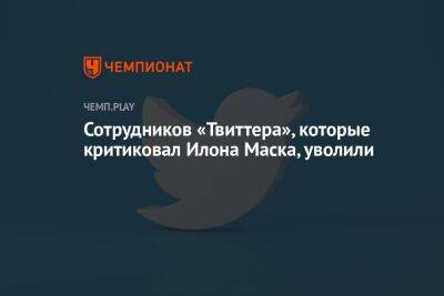 Сотрудников «Твиттера», которые критиковали Илона Маска, уволили