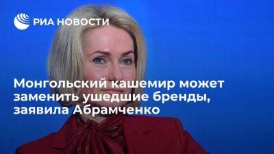 Вице-премьер Абрамченко: монгольский кашемир может заменить ушедшие из России бренды