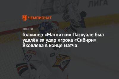 Голкипер «Магнитки» Паскуале был удалён за удар игрока «Сибири» Яковлева в конце матча