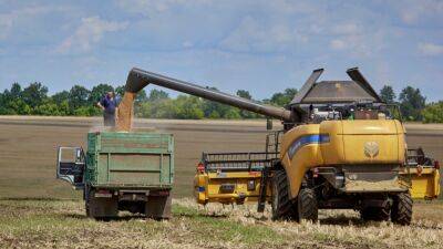 FT: Россия поставит аммиак через Украину в рамках зерновой сделки