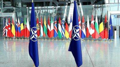 Готові захищати кожен дюйм НАТО: реакція союзників на падіння ракети в Польщі