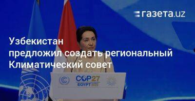 Узбекистан на COP27 предложил создать региональный Климатический совет