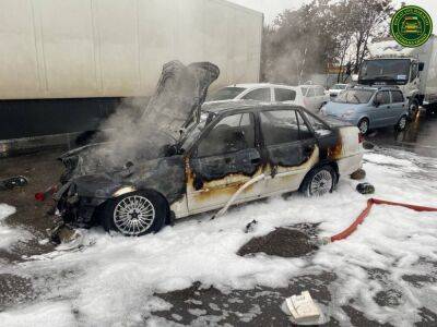 В Ташкентской области после столкновения с грузовиком сгорела "Нексия". Видео