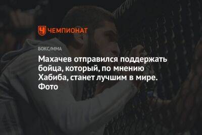 Махачев отправился поддержать бойца, который, по мнению Хабиба, станет лучшим в мире. Фото