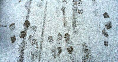 В Видземе и Латгале выпал первый снег; люди спешат поделиться фотографиями