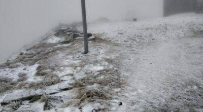 Зима внезапно обрушилась на украинскую землю: появились кадры первого снега