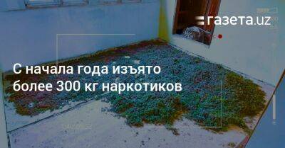 С начала года в Ташкентской области изъято более 300 кг наркотиков