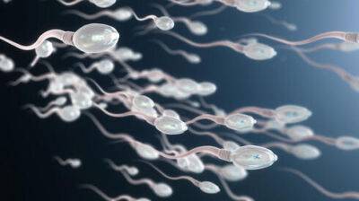 Тревожное открытие в Израиле: плодовитость спермы сильно снизилась. Что делать