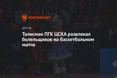 Талисман ПГК ЦСКА развлекал болельщиков на баскетбольном матче