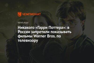 Никакого «Гарри Поттера»: в России запретили показывать фильмы Warner Bros. по телевизору