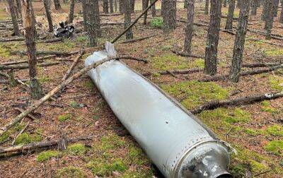 У лісі під Києвом знайшли уламки ще однієї збитої російської ракети (відео)