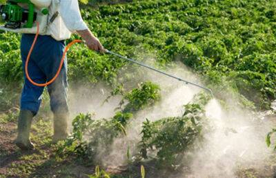 Рада спростила використання пестицидів і агрохімікатів