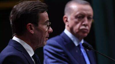 Швеция меняет конституцию ради Турции