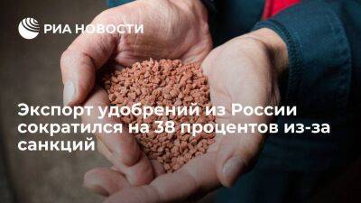 Замглавы МИД Вершинин: Россия сократила экспорт удобрений на 38 процентов из-за санкций