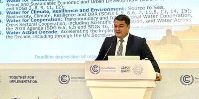 Замминистра энергетики Шоимзода призвал мировое сообщество присоединиться к водным инициативам Таджикистана