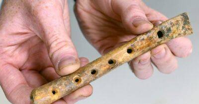 Пугающее искусство. Археологи в Англии обнаружили уникальную флейту из кости (фото)