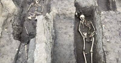 Жертвы Наполеона. В Чехии обнаружили братские могилы солдат легендарных сражений