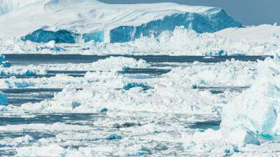 Таяние ледников высвободит сотни тысяч тонн древних бактерий - grodnonews.by - Белоруссия - Гренландия