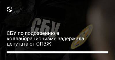 СБУ по подозрению в коллаборационизме задержала депутата от ОПЗЖ