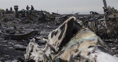 Авиакатастрофа MH17: РФ контролировала "ДНР", самолет сбили из Первомайского, – суд в Гааге