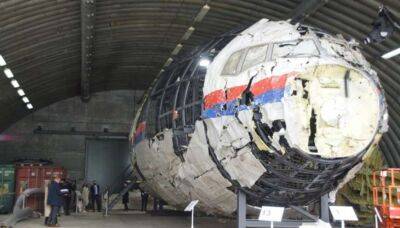 У Росії образилися через рішення суду у справі про MH17 - lenta.ua - Украина - Росія