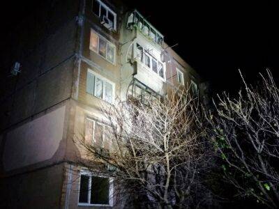 Ночью войска РФ выпустили более 40 снарядов из РСЗО по Никополю – глава ОВА