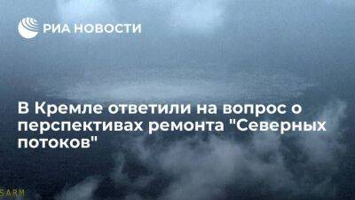 Песков призвал сначала дождаться полной оценки ущерба от диверсии на "Северных потоках"