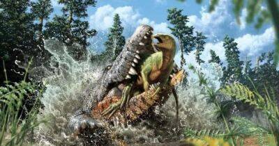 Перекусил динозавра пополам. Ученые выяснили, какой была последняя трапеза древнего крокодила-убийцы