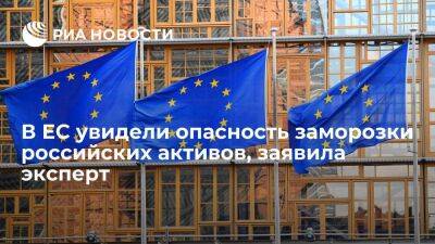 Эксперт Гейнц: многие страны ЕС увидели опасность механизма заморозки российских активов