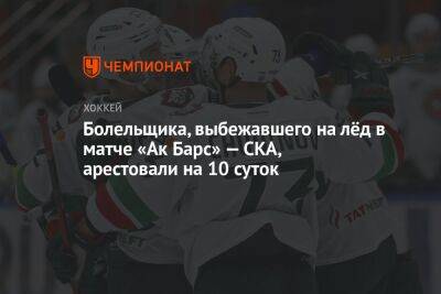 Болельщика, выбежавшего на лёд в матче «Ак Барс» — СКА, арестовали на 10 суток