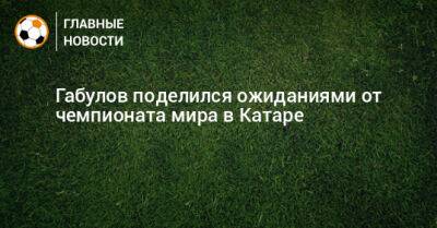 Габулов поделился ожиданиями от чемпионата мира в Катаре