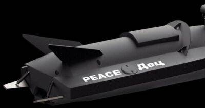 "PEACE Дец", "PEACE Да" и "PEACE Дюк": Литва собрала деньги на морские дроны для Украины