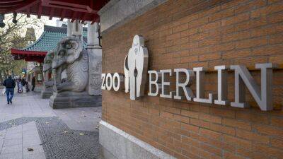 Берлинский зоопарк закрыли из-за птичьего гриппа