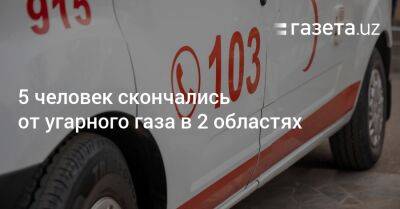 5 человек скончались от угарного газа в 2 областях - gazeta.uz - Узбекистан - Джизакская обл. - Скончался