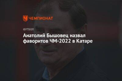 Анатолий Бышовец назвал фаворитов ЧМ-2022 в Катаре