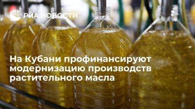 На Кубани производители растительного масла получат 42 миллиона рублей на модернизацию