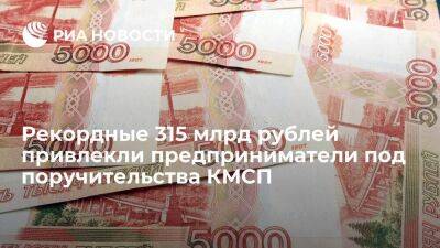 Александр Исаевич - Рекордные 315 млрд рублей привлекли предприниматели под поручительства КМСП - smartmoney.one - Россия