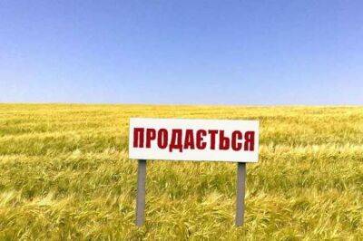 Рынок земли: в Украине за две недели продано 5,54 тысяч гектаров сельхозземель