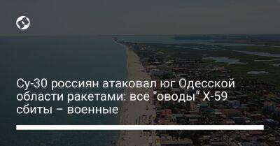Су-30 россиян атаковал юг Одесской области ракетами: все "оводы" Х-59 сбиты – военные
