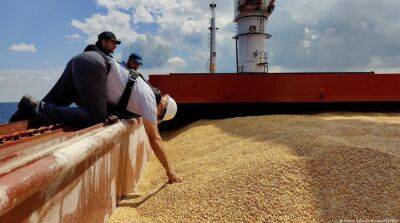 Украина в течение нескольких дней ждет ответ рф по поводу участия в зерновом соглашении