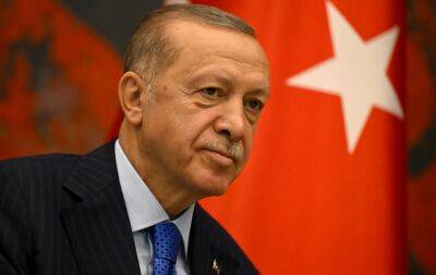 Ердоган заявив про відновлення роботи "зернового коридору". Росія підтвердила