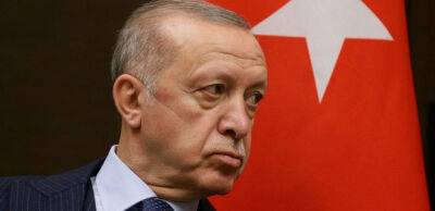 Ердоган заявив про відновлення роботи «зернового коридору» уже 2 листопада