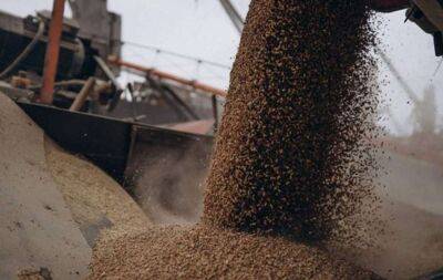 Росія передумала виходити із «зернової угоди»