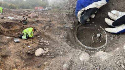 В Швеции нашли серебряные сокровища викингов, которым около тысячи лет