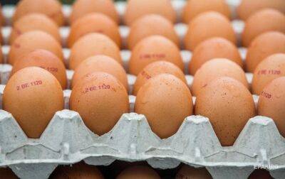 В Украине стабилизируют цены на куриные яйца - Минагрополитики