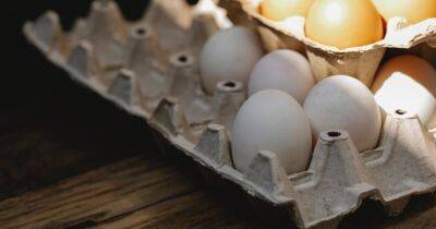 Вето на подорожание: в Украине договорились стабилизировать цены на яйца